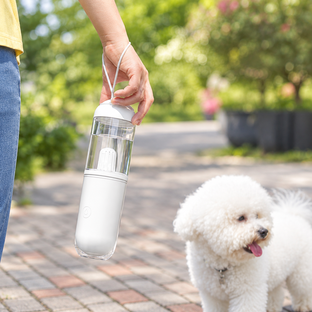 Travel Filter Water Bottle